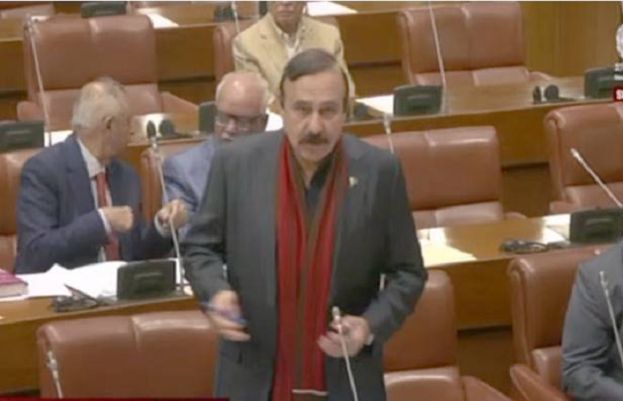 PTI founder’s health reports dismissed as baseless, Senate told