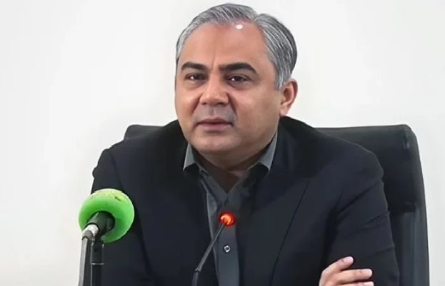 CDF notification cannot be issued simply by pressing a button, Naqvi on delay rumours