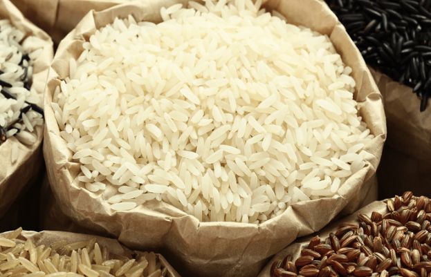 Price of rice records increase in Punjab
