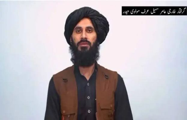 Arrested militant claims existence of an afghanistan-based support network for Fitna al khawarij