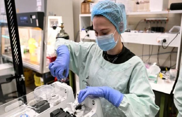 Australian researchers teach brain cells to play ‘Doom’